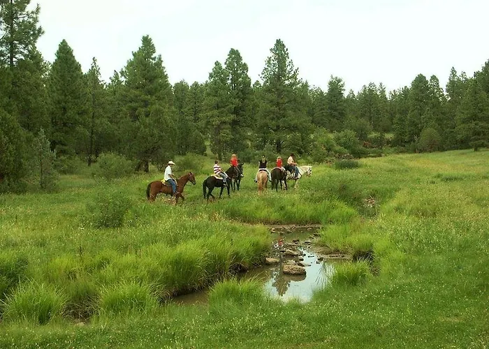 Breathtaking Secluded In A Privileged Area In Show Low, Arizona Show Low